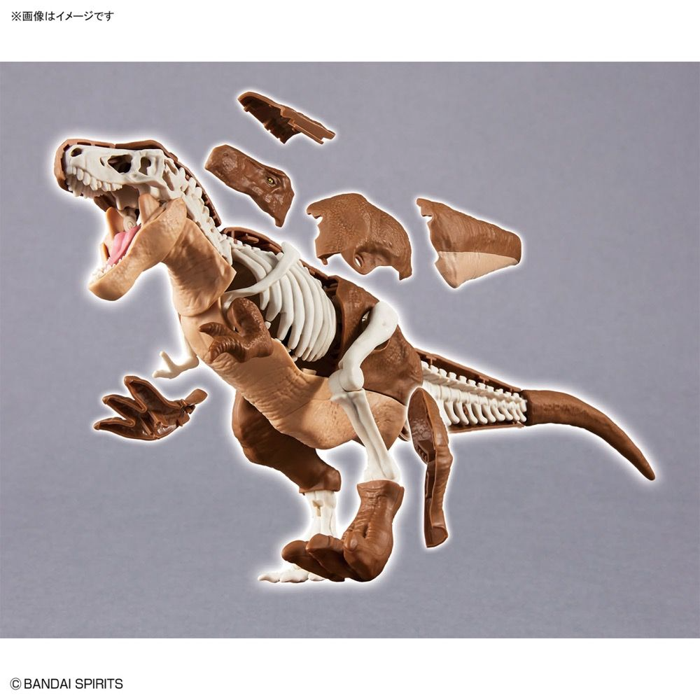 Bandai PLANNOSAURUS – Spinosaurus – Maquette à Monter – Kit Modèle Préhistorique – Cadeau Enfant Passionné De Dinosaures