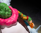 S. H. Figuarts - Dragon Ball Z - Grand Elder Guru