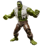 Marvel Legends - Spider-Man: Brand New Day - Hulk