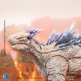 Hiya Toys - Godzilla x Kong New Empire Exquisite Basic Shimo Previews Exclusive
