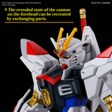 Gundam HG 1/144 Gundam SEED Freedom  #250 Mighty Strike Freedom Gundam