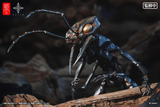 Snail Shell  - SAZEN - Artist Collaboration Series Ant Soldier