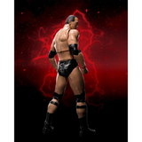 S. H. Figuarts - WWE  The Rock