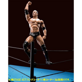 S. H. Figuarts - WWE  The Rock