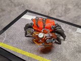 Aquaculture Tank 008 - Fiddler Crab (Silver Red) Plastic Kit