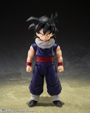 S. H. Figuarts Dragon Ball Z - Son Gohan [Z-Fighters] Group Base Ver A Pre-order