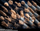 S. H. Figuarts  FIST OF THE NORTH STAR: HOKUTO NO KEN - Kenshiro Pre-order