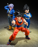 S. H. Figuarts Dragon Ball Z -  Vegeta [Z Warrior] Pre-order