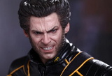 Hot Toys 1/6 MMS187 X-Men: The Last Stand - Wolverine