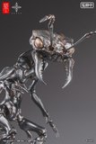 Snail Shell  - SAZEN - Artist Collaboration Series Ant Soldier