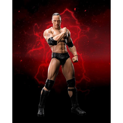 S. H. Figuarts - WWE  The Rock