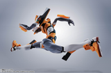 Robot Damashi Side Eva Evangelion Proto Type-00 (Best Selection) Tamashii Nations Tokyo