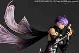 Revoltech Amazing Yamaguchi Ninja Gaiden 3 - Razors Edge Ayane