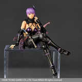 Revoltech Amazing Yamaguchi Ninja Gaiden 3 - Razors Edge Ayane