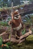 Hot Toys 1/6 MMS551 Star Wars: Return of the Jedi - Princess Leia & Wicket Two-Pack