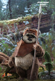 Hot Toys 1/6 MMS551 Star Wars: Return of the Jedi - Princess Leia & Wicket Two-Pack