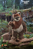 Hot Toys 1/6 MMS551 Star Wars: Return of the Jedi - Princess Leia & Wicket Two-Pack