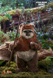 Hot Toys 1/6 MMS551 Star Wars: Return of the Jedi - Princess Leia & Wicket Two-Pack
