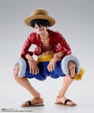 S. H. Figuarts One Piece - Monkey D. Luffy (Two Years Later) Pre-order