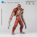 Hiya Toys Exquisite Basic Series - Godzilla x Kong: The New Empire - Skar King