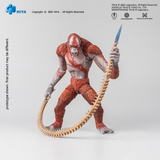 Hiya Toys Exquisite Basic Series - Godzilla x Kong: The New Empire - Skar King