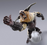 S. H. MonsterArts Monster Hunter - Furious Rajang