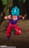 Demoniacal Fit Limit Breaker