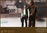 Hot Toys MMS263 Star Wars A New Hope : Han Solo and Chewbacca Set