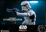 Hot Toys TMS011 Star Wars - The Mandalorian - Remnant Stormtrooper