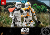 Hot Toys TMS041 - The Mandalorian - Stormtrooper Commander