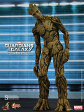 Hot Toys MMS253 - Guardians of the Galaxy -  Groot