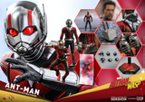 Hot Toys MMS497 - Ant-Man and the Wasp - Ant-Man