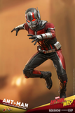 Hot Toys MMS497 - Ant-Man and the Wasp - Ant-Man