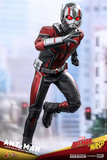 Hot Toys MMS497 - Ant-Man and the Wasp - Ant-Man