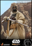 Hot Toys TMS028 - Star Wars The Mandalorian - Tusken Raider