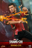 Hot Toys 1/6 MMS614 - Shang-Chi & the Legend of the Ten Rings - Shang-Chi