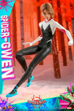 Hot Toys 1/6 MMS576 Spider-Man: Into the Spider-Verse - Spider-Gwen