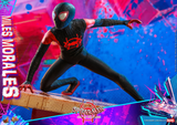 Hot Toys 1/6 MMS567 Spider-Man: Into the Spider-Verse - Miles Morales