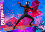 Hot Toys 1/6 MMS567 Spider-Man: Into the Spider-Verse - Miles Morales