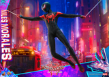 Hot Toys 1/6 MMS567 Spider-Man: Into the Spider-Verse - Miles Morales