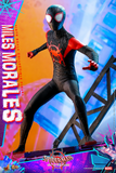 Hot Toys 1/6 MMS567 Spider-Man: Into the Spider-Verse - Miles Morales