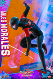 Hot Toys 1/6 MMS567 Spider-Man: Into the Spider-Verse - Miles Morales