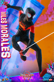 Hot Toys 1/6 MMS567 Spider-Man: Into the Spider-Verse - Miles Morales