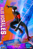 Hot Toys 1/6 MMS567 Spider-Man: Into the Spider-Verse - Miles Morales