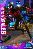 Hot Toys 1/6 MMS567 Spider-Man: Into the Spider-Verse - Miles Morales
