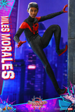 Hot Toys 1/6 MMS567 Spider-Man: Into the Spider-Verse - Miles Morales