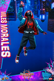 Hot Toys 1/6 MMS567 Spider-Man: Into the Spider-Verse - Miles Morales