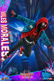 Hot Toys 1/6 MMS567 Spider-Man: Into the Spider-Verse - Miles Morales