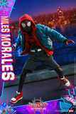 Hot Toys 1/6 MMS567 Spider-Man: Into the Spider-Verse - Miles Morales