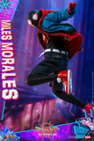 Hot Toys 1/6 MMS567 Spider-Man: Into the Spider-Verse - Miles Morales